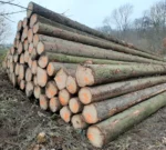 Fichtenstammholz – 3 LKW-Ladungen (150 rm) – PEFC-zertifiziert