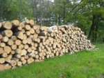 Birkenstammholz – 2 LKW-Ladungen (100 rm) – PEFC-zertifiziert – Bild 4