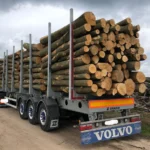 Nadelholzstammholz (gemischt) – 1 LKW-Ladung (50 rm) – PEFC