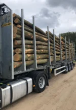 Nadelholzstammholz (gemischt) – 1 LKW-Ladung (50 rm) – PEFC – Bild 2